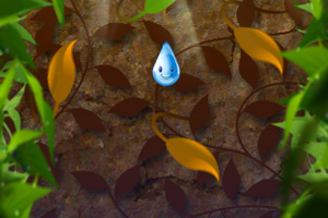 下落的雨滴