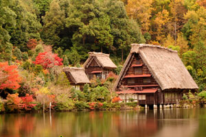 逃出日本山水园